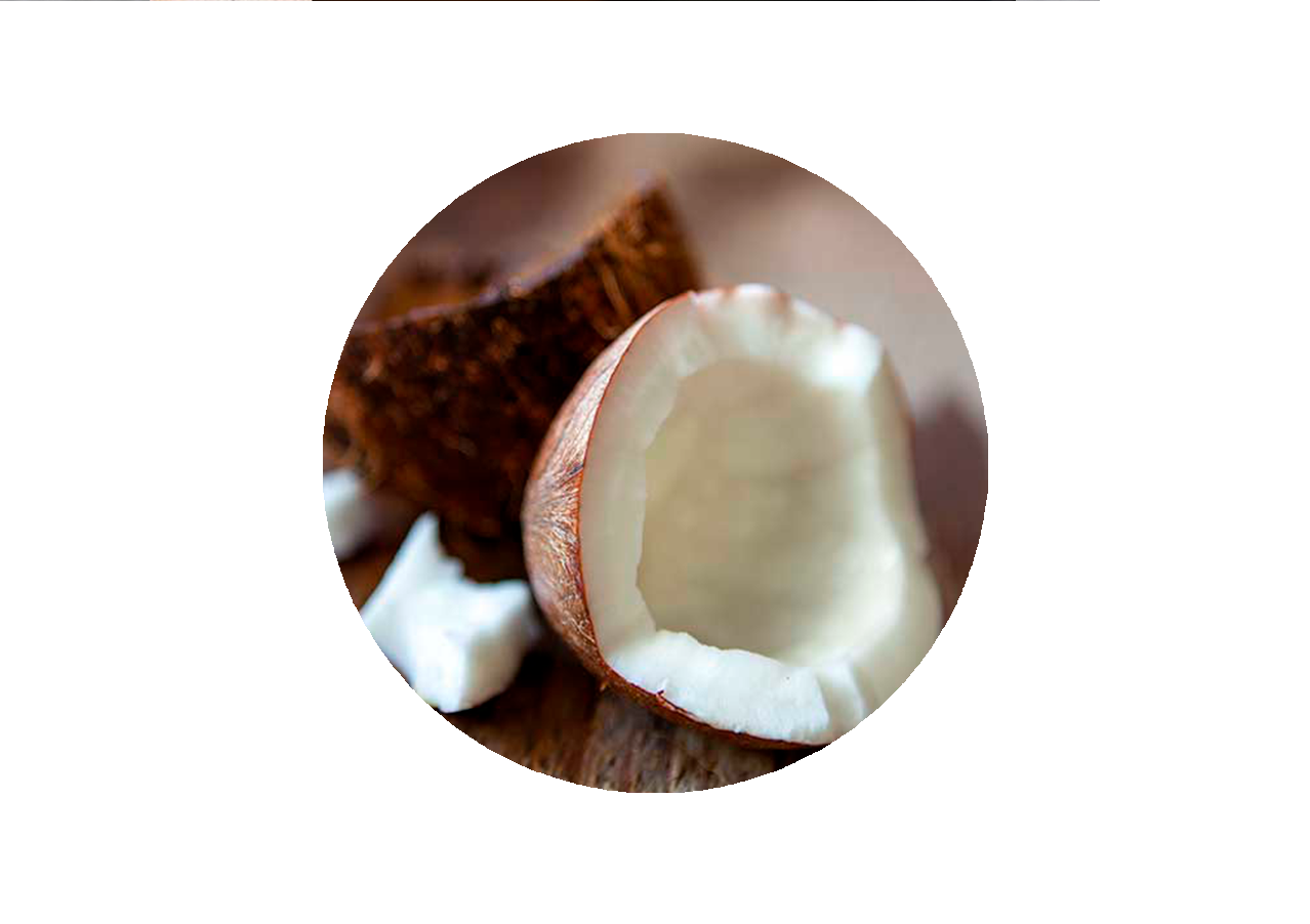 gravidez
